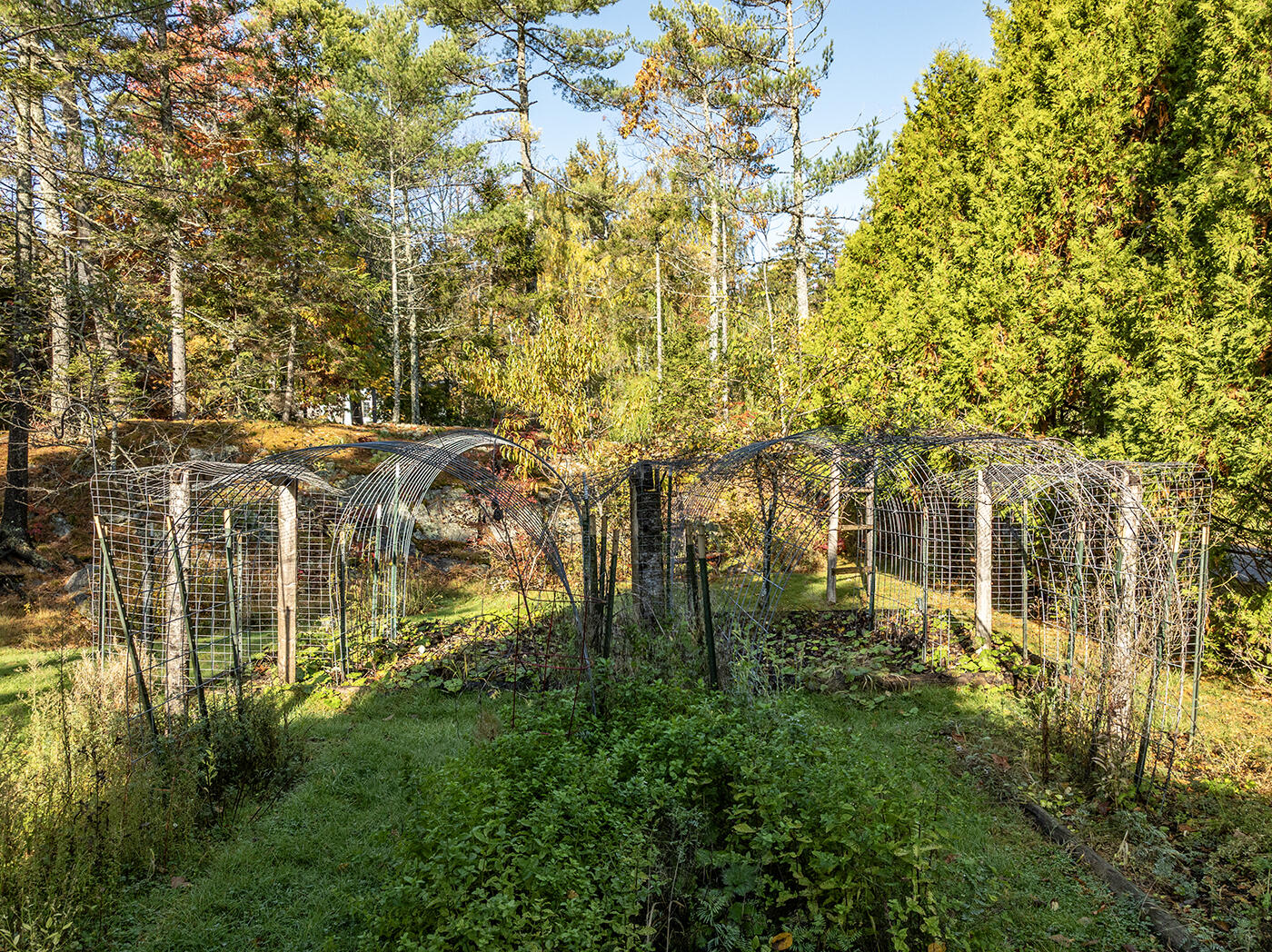 24 Timbercliffe Drive Camden, ME 04843 - Photo 34 of 62 DJI_0038