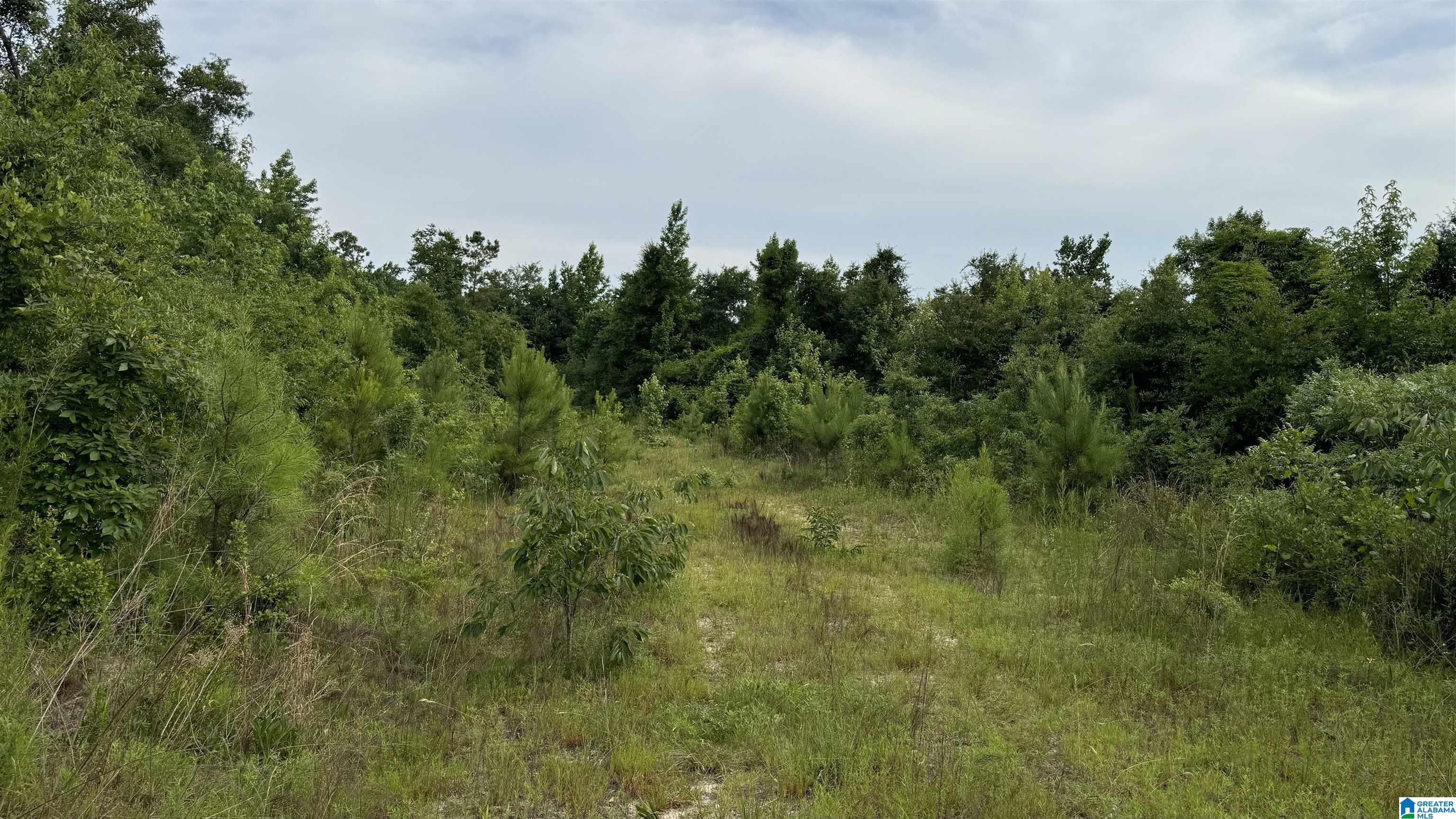 0 Midway Road Tuskegee, AL 36083 - Photo 10 of 30