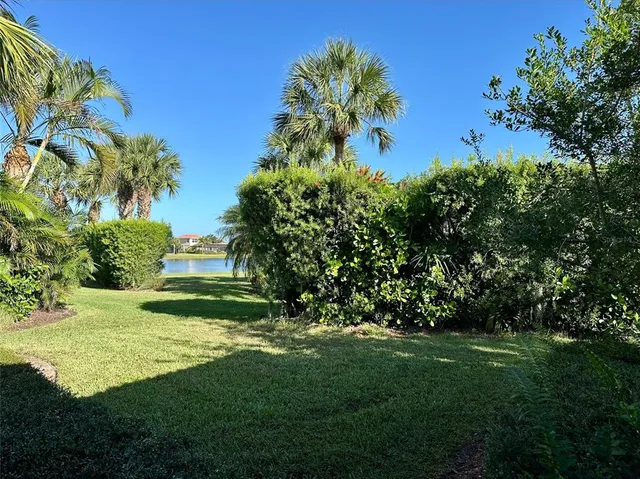 a view of a grassy field with trees