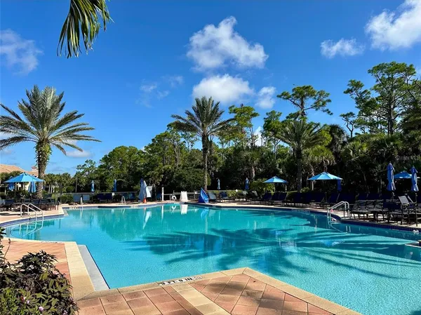 a view of a swimming pool with a garden and plants