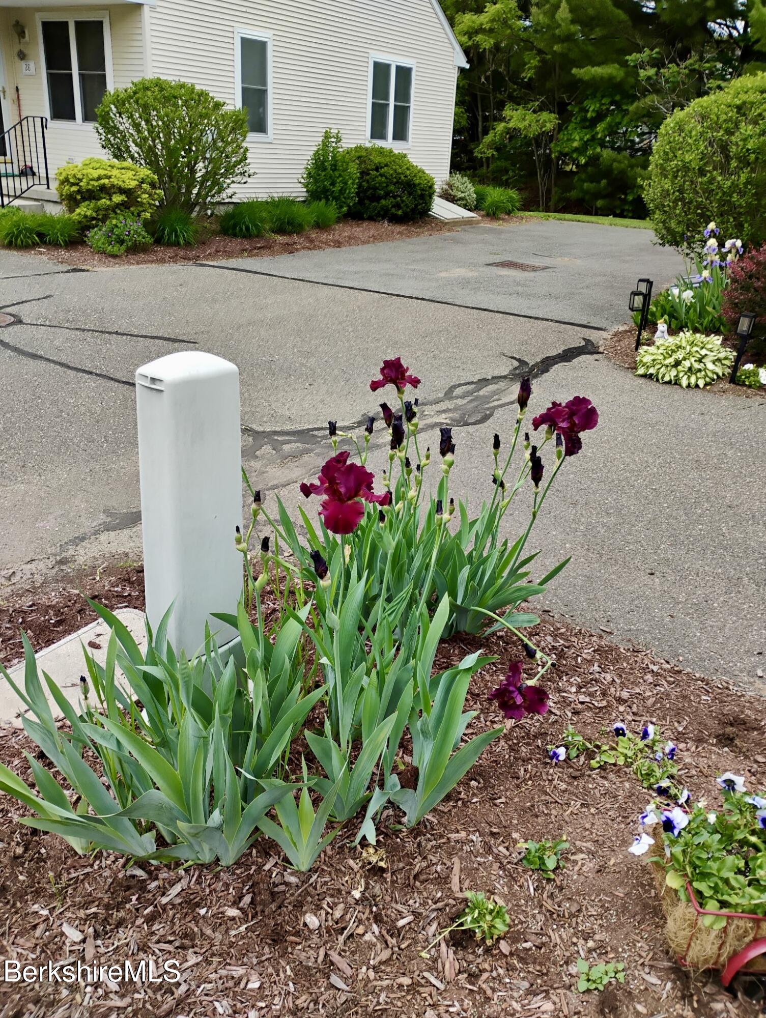 20 Richmond Way Chicopee, MA 01022 - Photo 24 of 25 a view of a garden with flowers