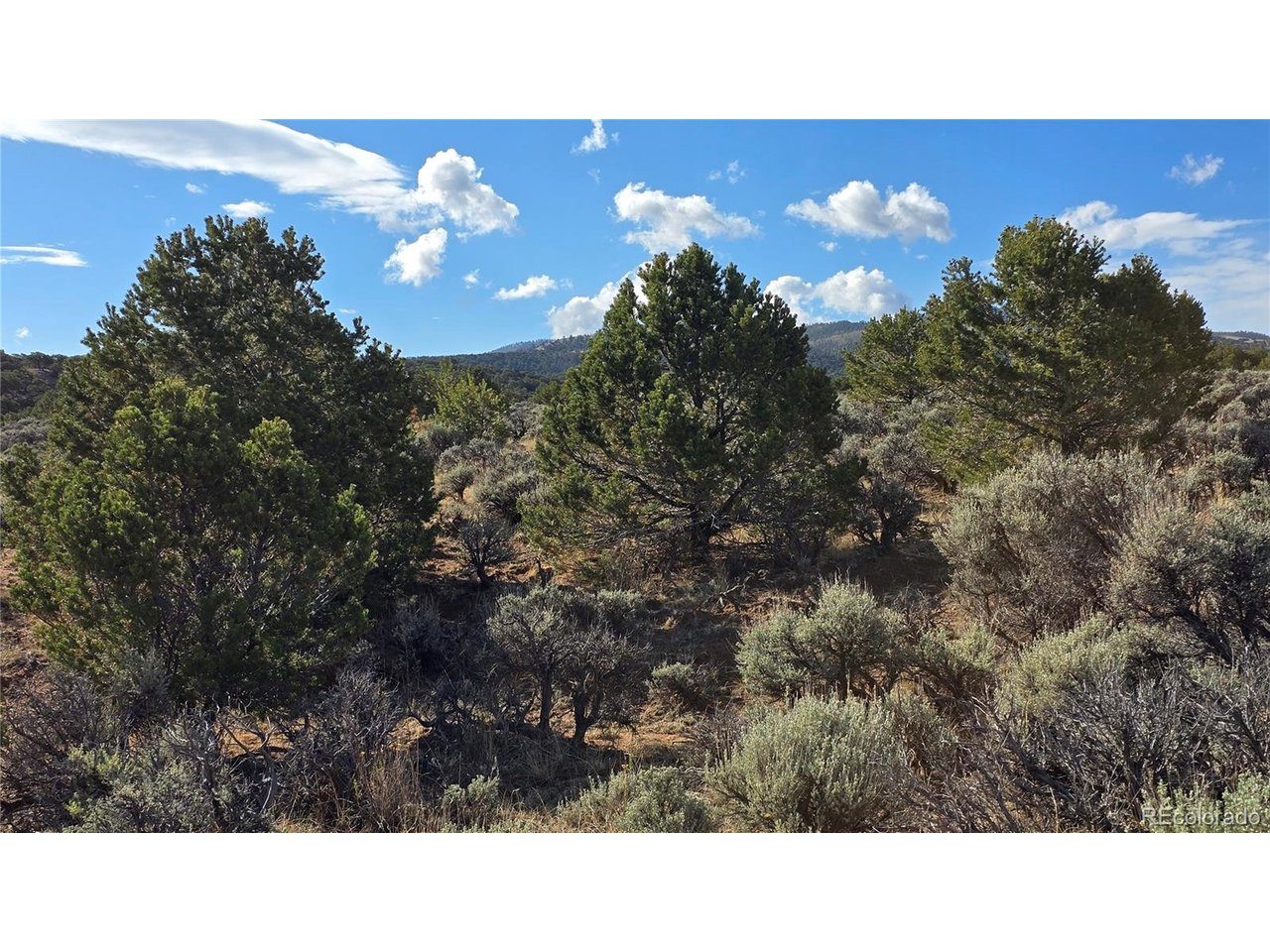 7340 Sweany Road Fort Garland, CO 81133 - Photo 19 of 31