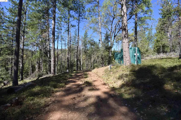 $405,000 | 3715 Bald Mountain Road, West Point, CA 95255