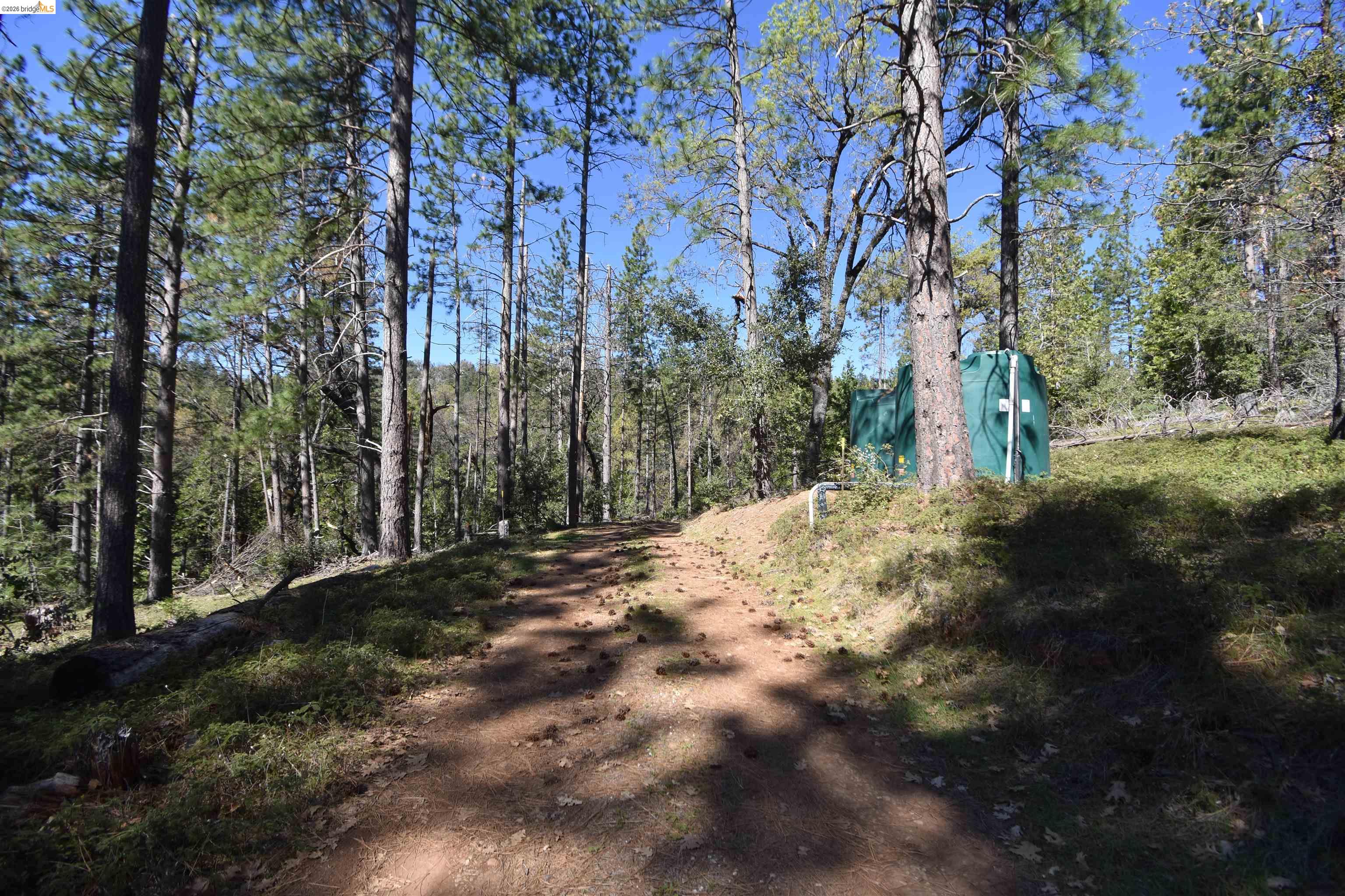 3715 Bald Mountain Road West Point, CA 95255 - Photo 7 of 37