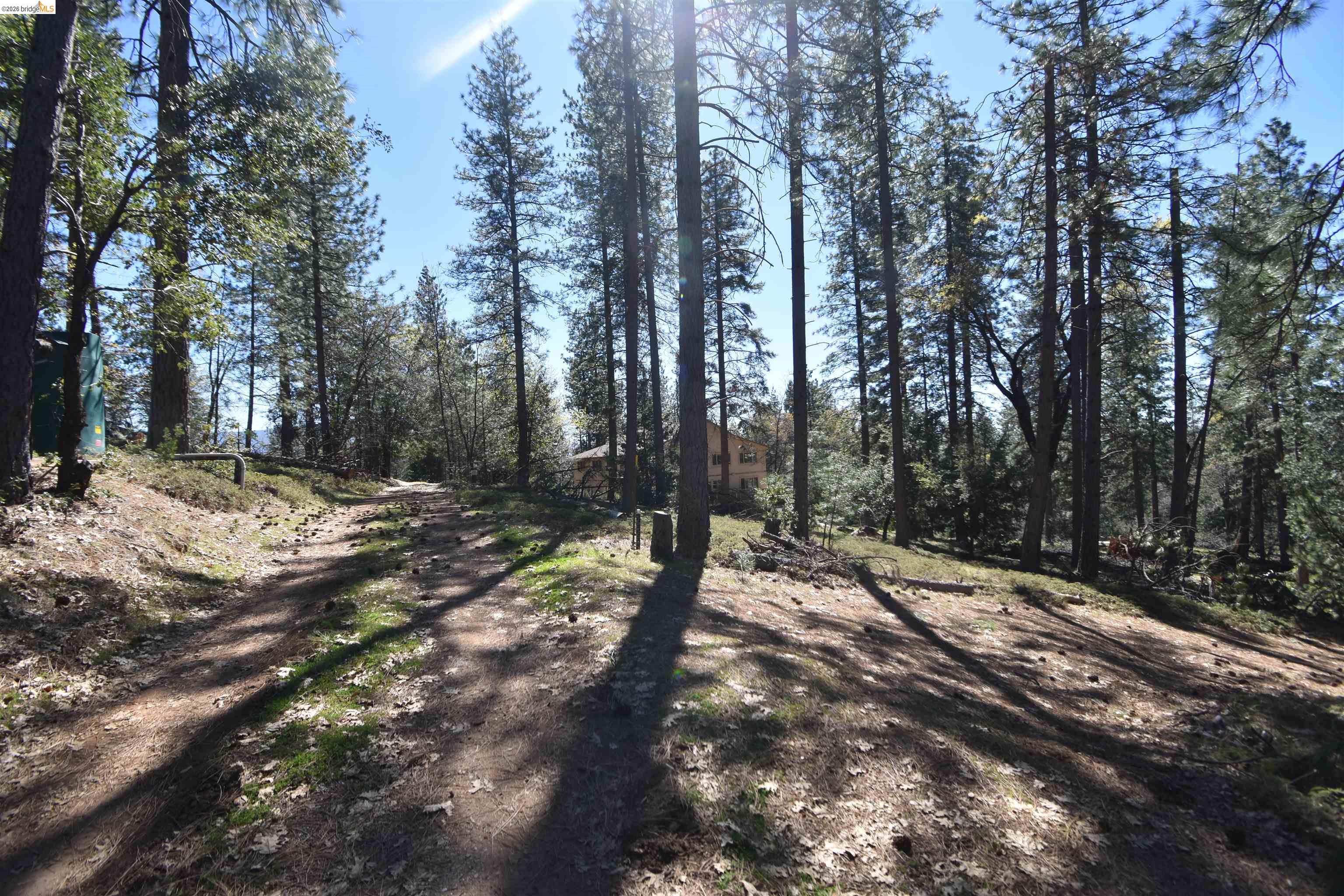 3715 Bald Mountain Road West Point, CA 95255 - Photo 8 of 37