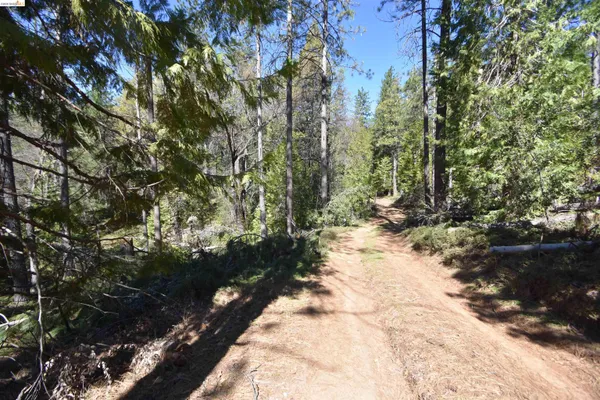 $405,000 | 3715 Bald Mountain Road, West Point, CA 95255