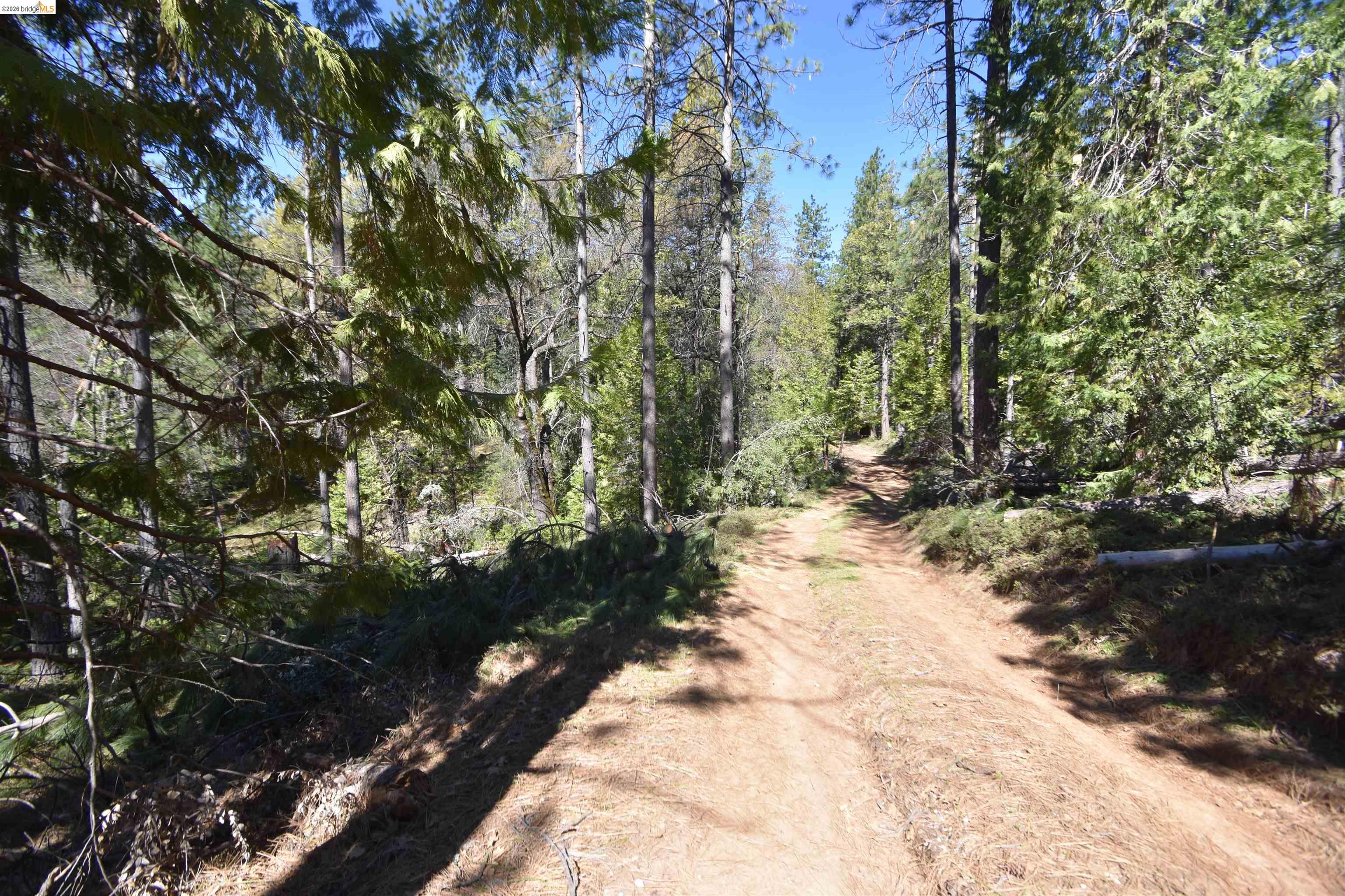 3715 Bald Mountain Road West Point, CA 95255 - Photo 9 of 37