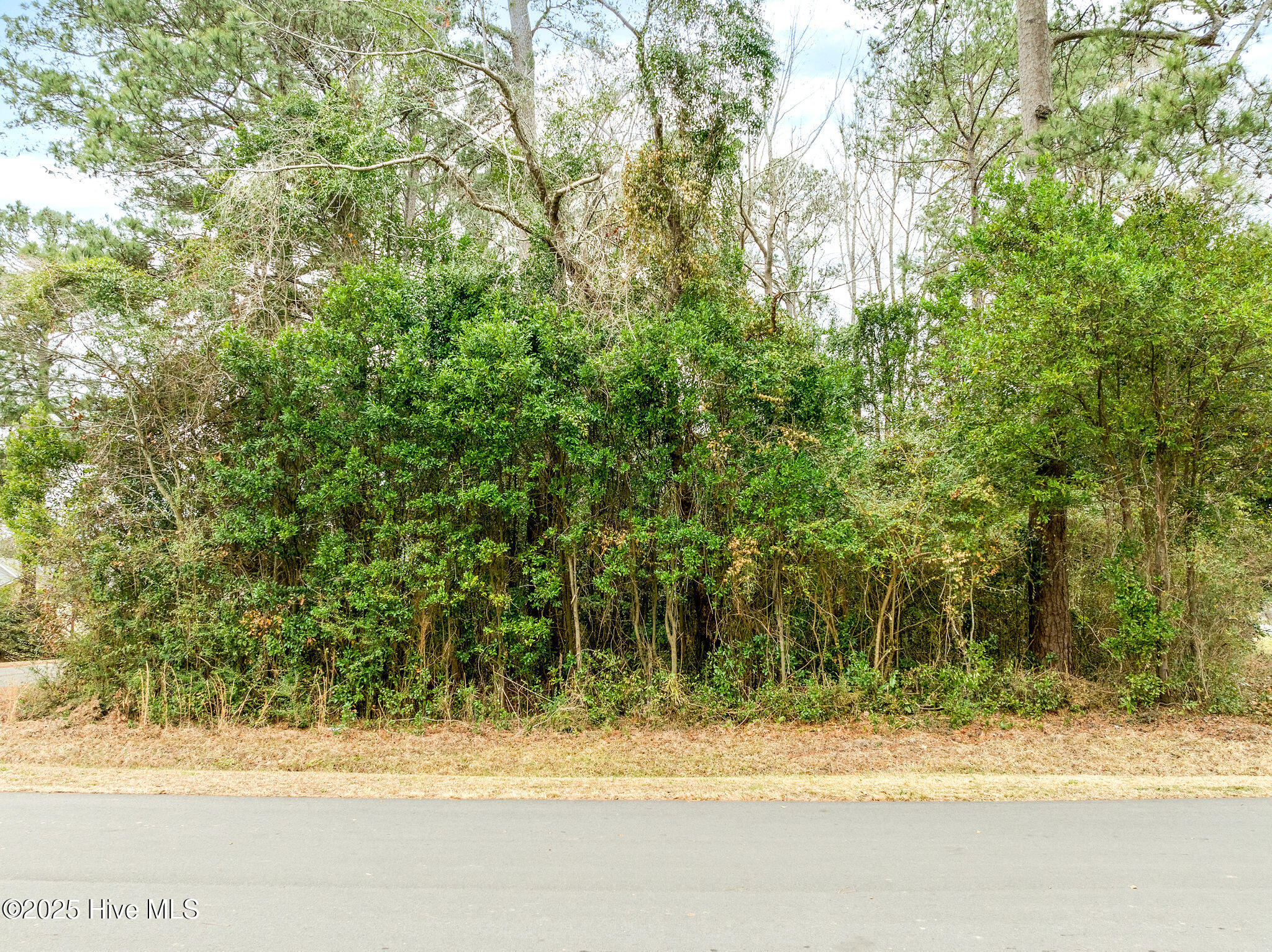 1 West Charity Road Rose Hill, NC 28458 - Photo 13 of 15 rosehilllot14