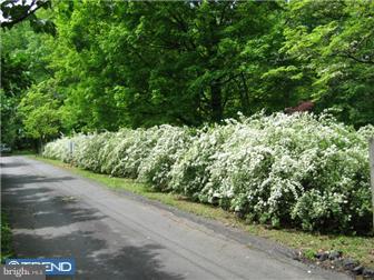 49 Reeder Road New Hope, PA 18938 - Photo 3 of 11 Gallery Image 3