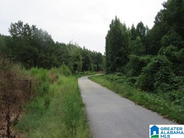 1980 Dripping Rock Road, Unit 20 50 AC Piedmont, AL 36272 - Photo 9 of 19