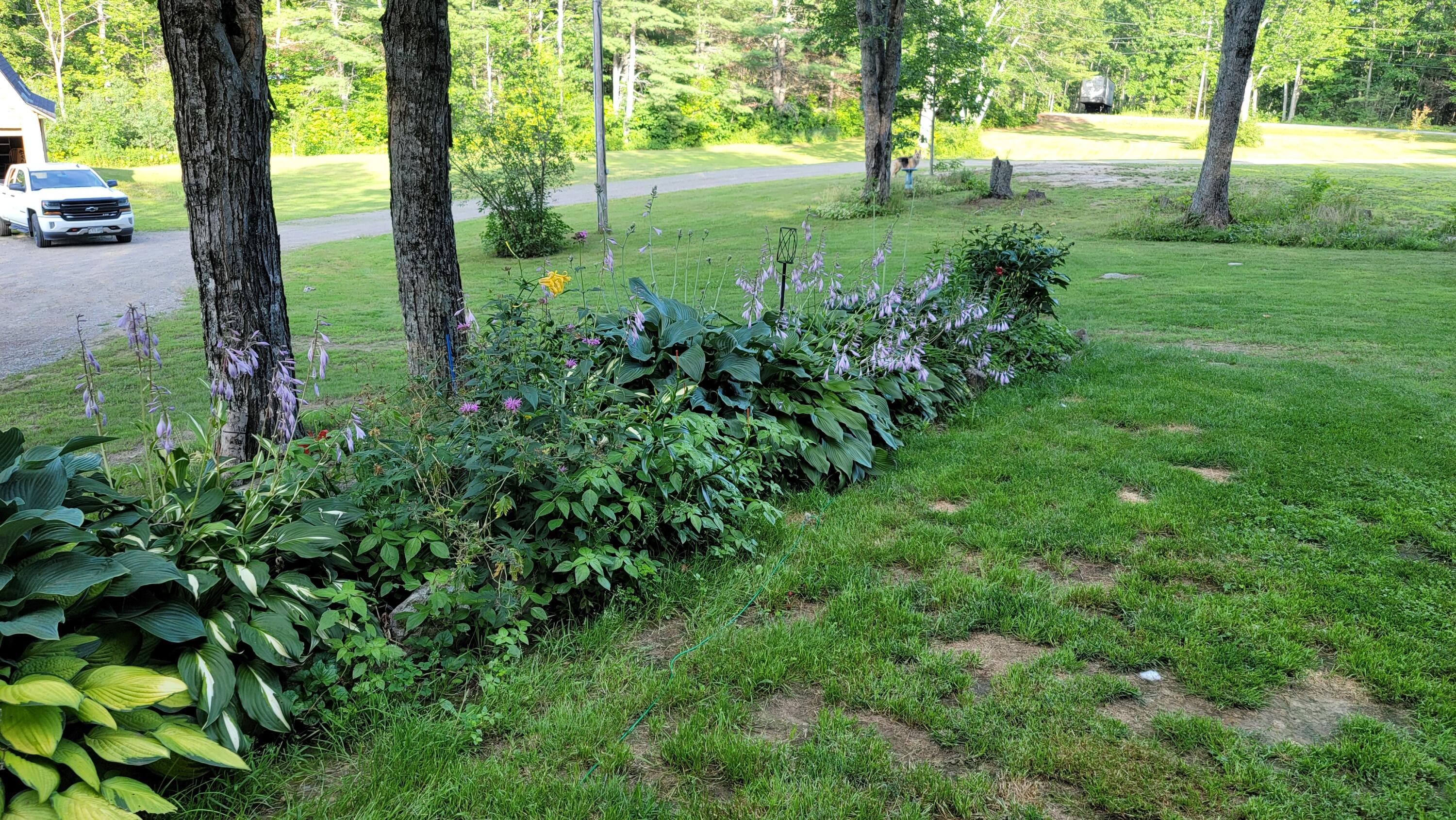 345 Bardon Hill Road Etna, ME 04434 - Photo 4 of 36 4
