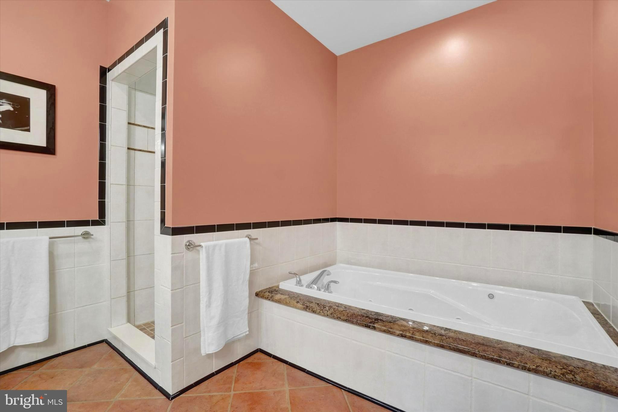 19440 Vernon Road White Hall, MD 21161 - Photo 17 of 60 Huge walk-in shower plus a jetted soaking tub.