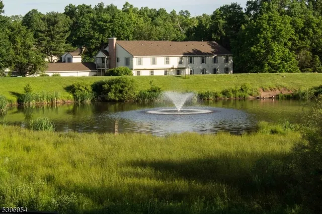 a view of a town with large trees and plants