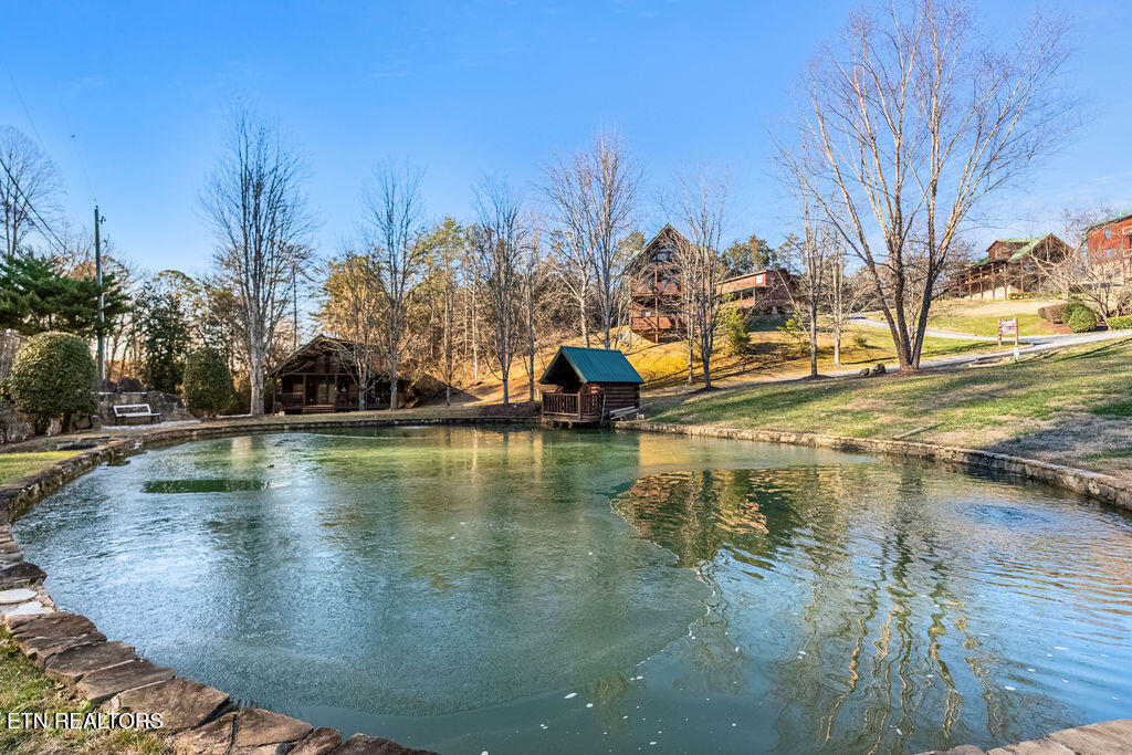 1644 Little Cabin Loop Sevierville, TN 37862 - Photo 30 of 30 1000038147