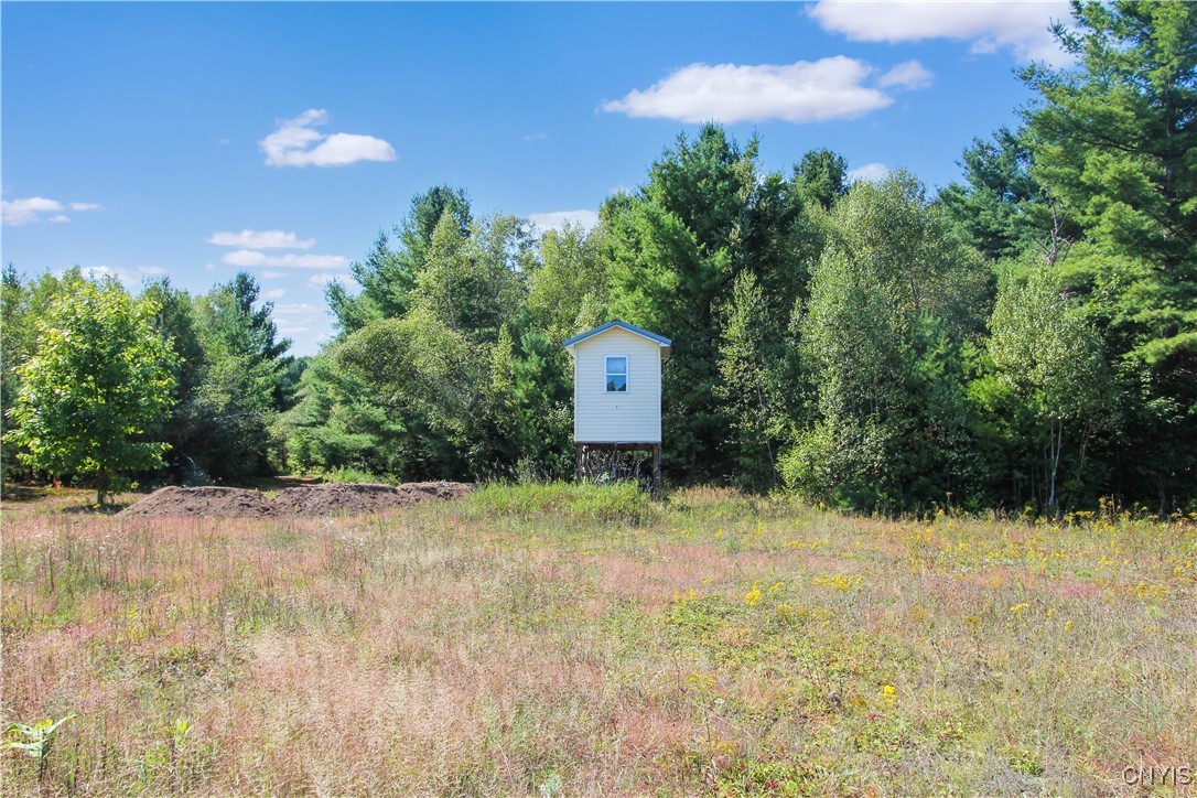 8 Vrooman Road Pitcairn, NY 13648 - Photo 32 of 37