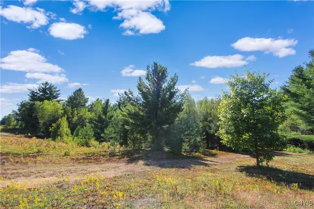 $299,900 | 8 Vrooman Road, Pitcairn, NY 13648