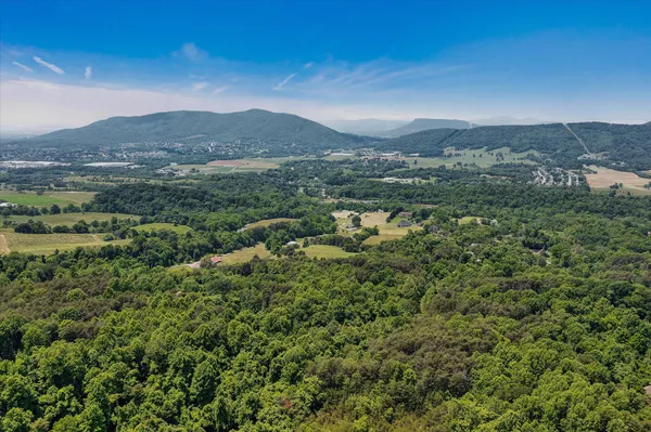 an aerial view of residential house with outdoor space and trees