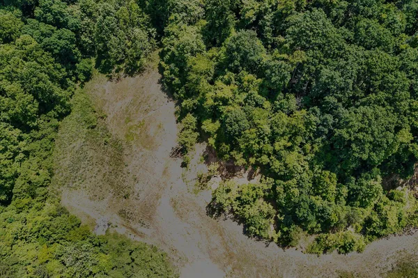 a view of a lake with a tree