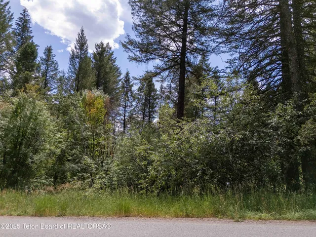 $83,000 | Lot 71 Vista Drive, Thayne, WY 83127