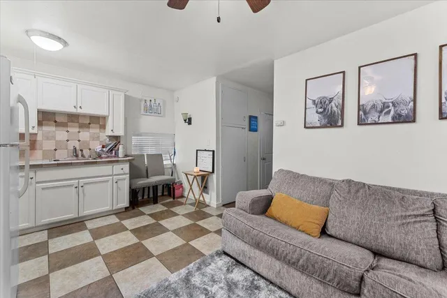 a view of a garden with plants