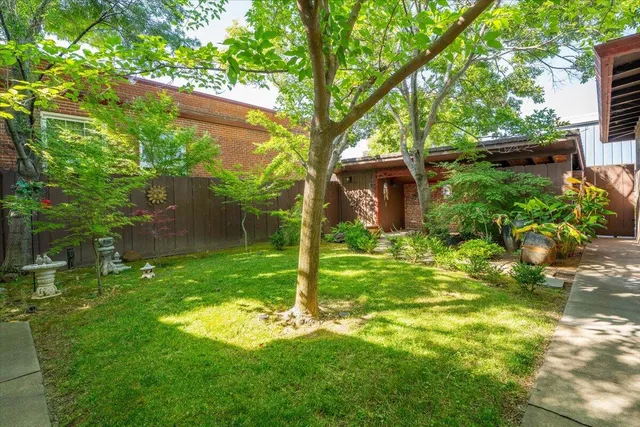 a backyard of a house with plants and large trees
