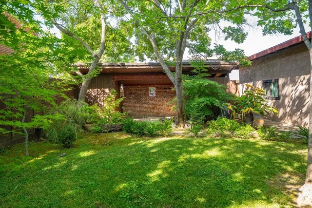a backyard of a house with plants and large tree