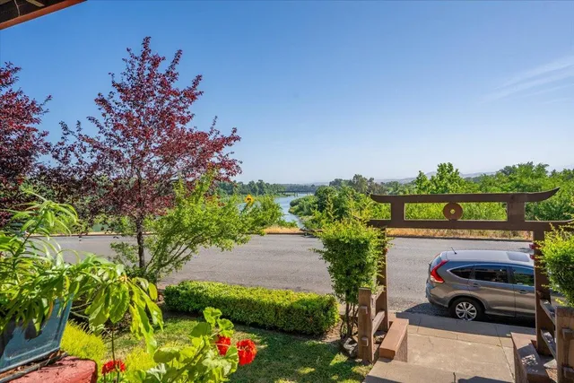 a view of a house with a yard and a large tree center