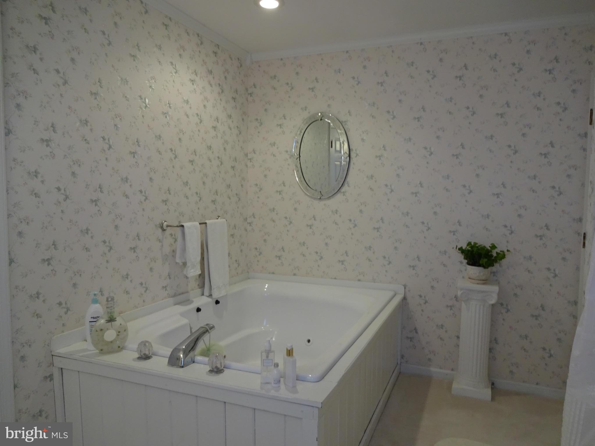 8814 Fisher Road Denton, MD 21629 - Photo 14 of 30 Bath (Master) w/jetted tub