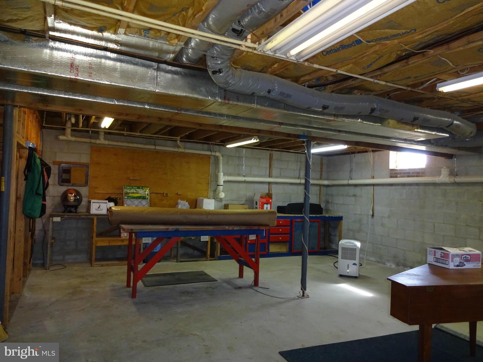 8814 Fisher Road Denton, MD 21629 - Photo 18 of 30 Basement w/workshop area