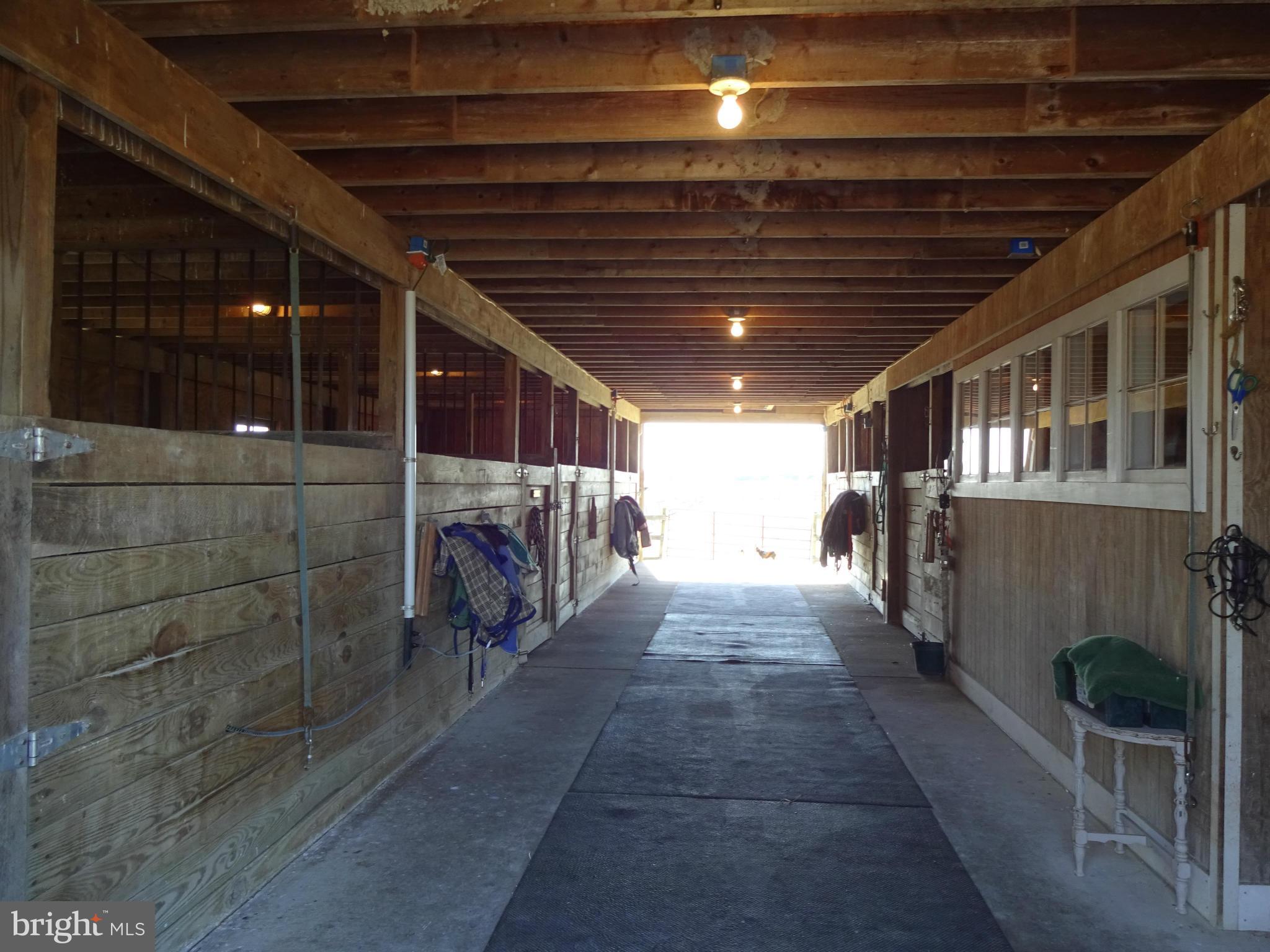 8814 Fisher Road Denton, MD 21629 - Photo 23 of 30 Barn