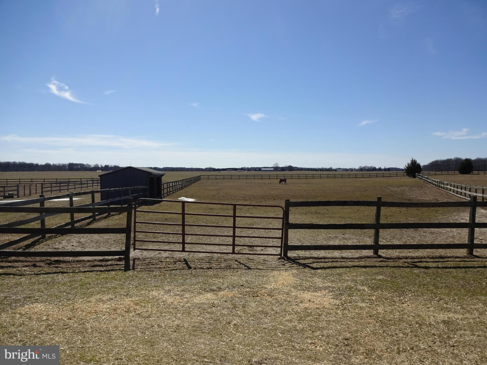 8814 Fisher Road Denton, MD 21629 - Photo 26 of 30 Wood Fenced Pastures