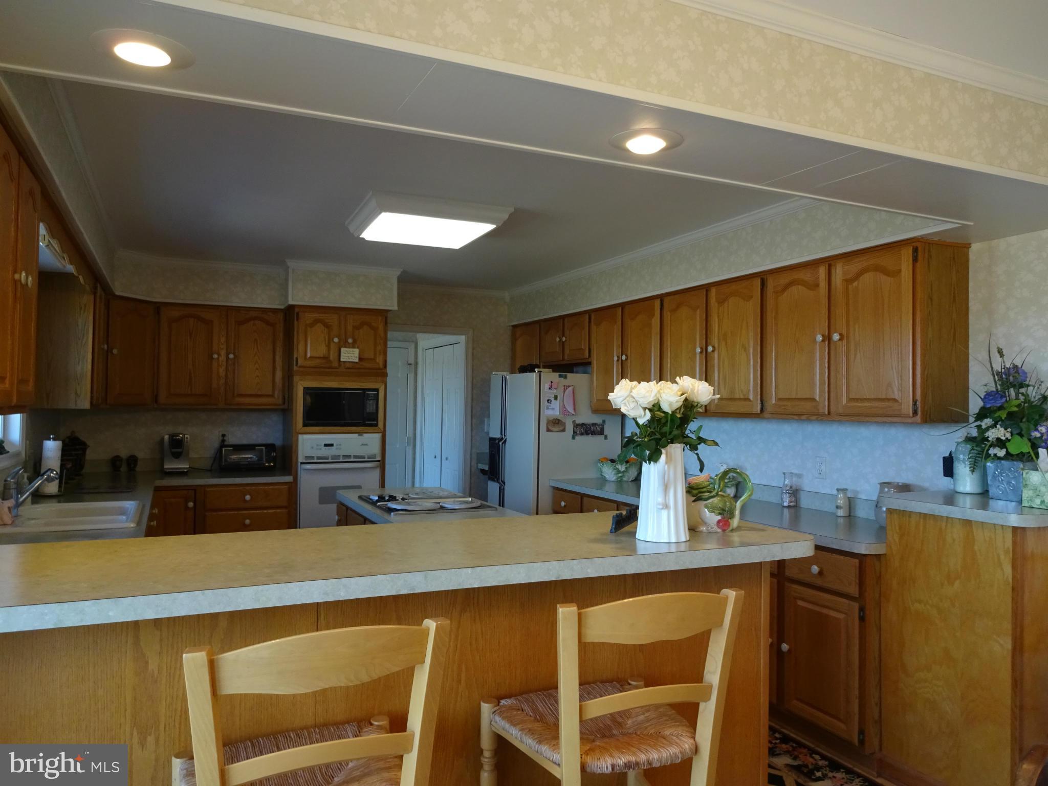 8814 Fisher Road Denton, MD 21629 - Photo 8 of 30 Kitchen w/breakfast bar