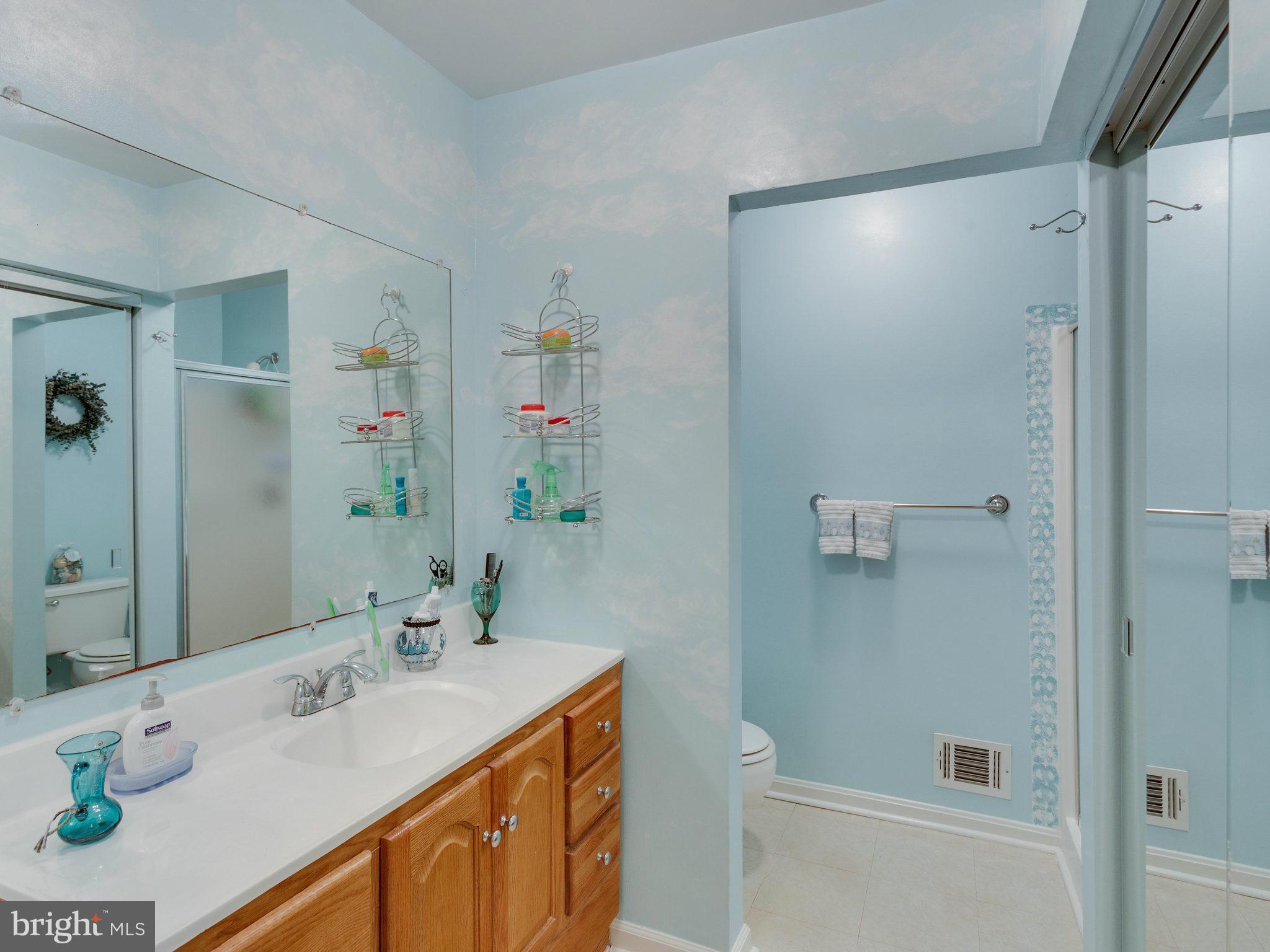 15237 Streamside Court Dumfries, VA 22025 - Photo 17 of 30 Bath (Master)