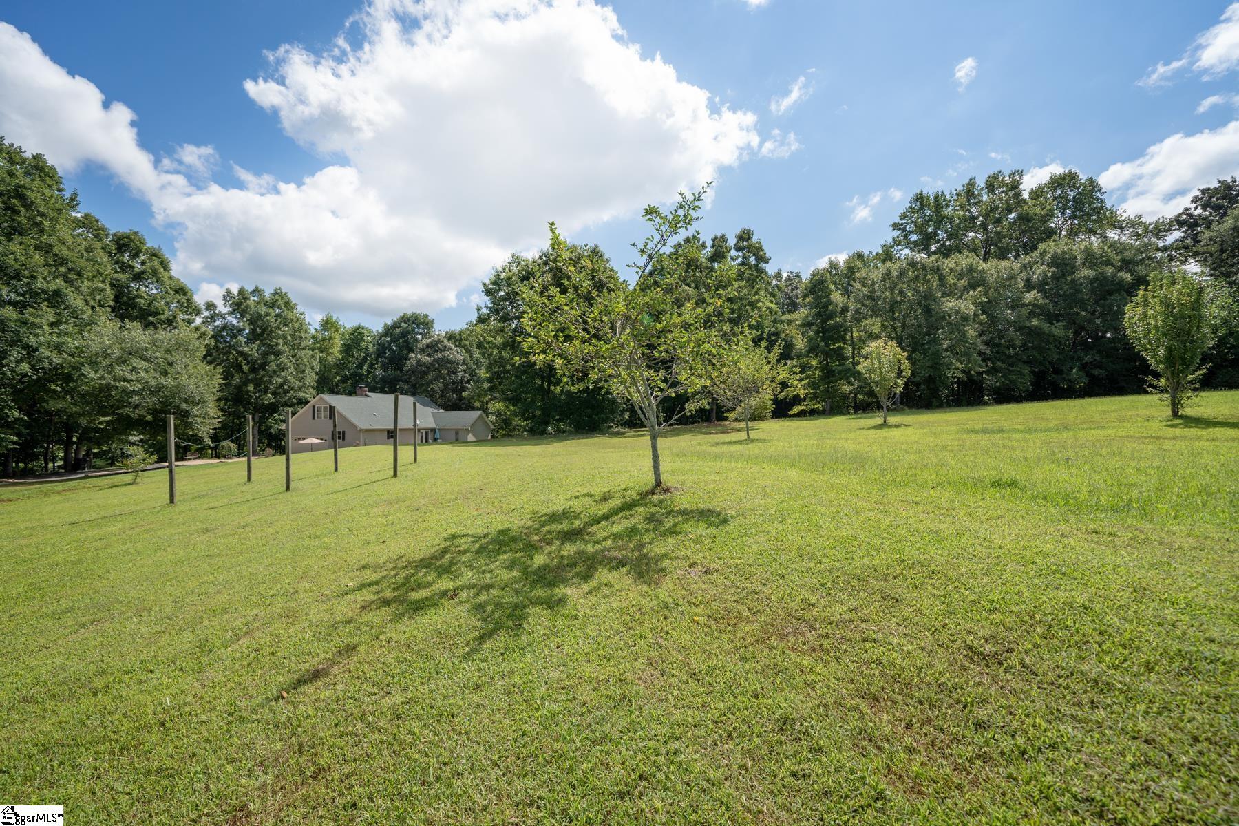 175 Brashears Road Campobello, SC 29322 - Photo 26 of 36