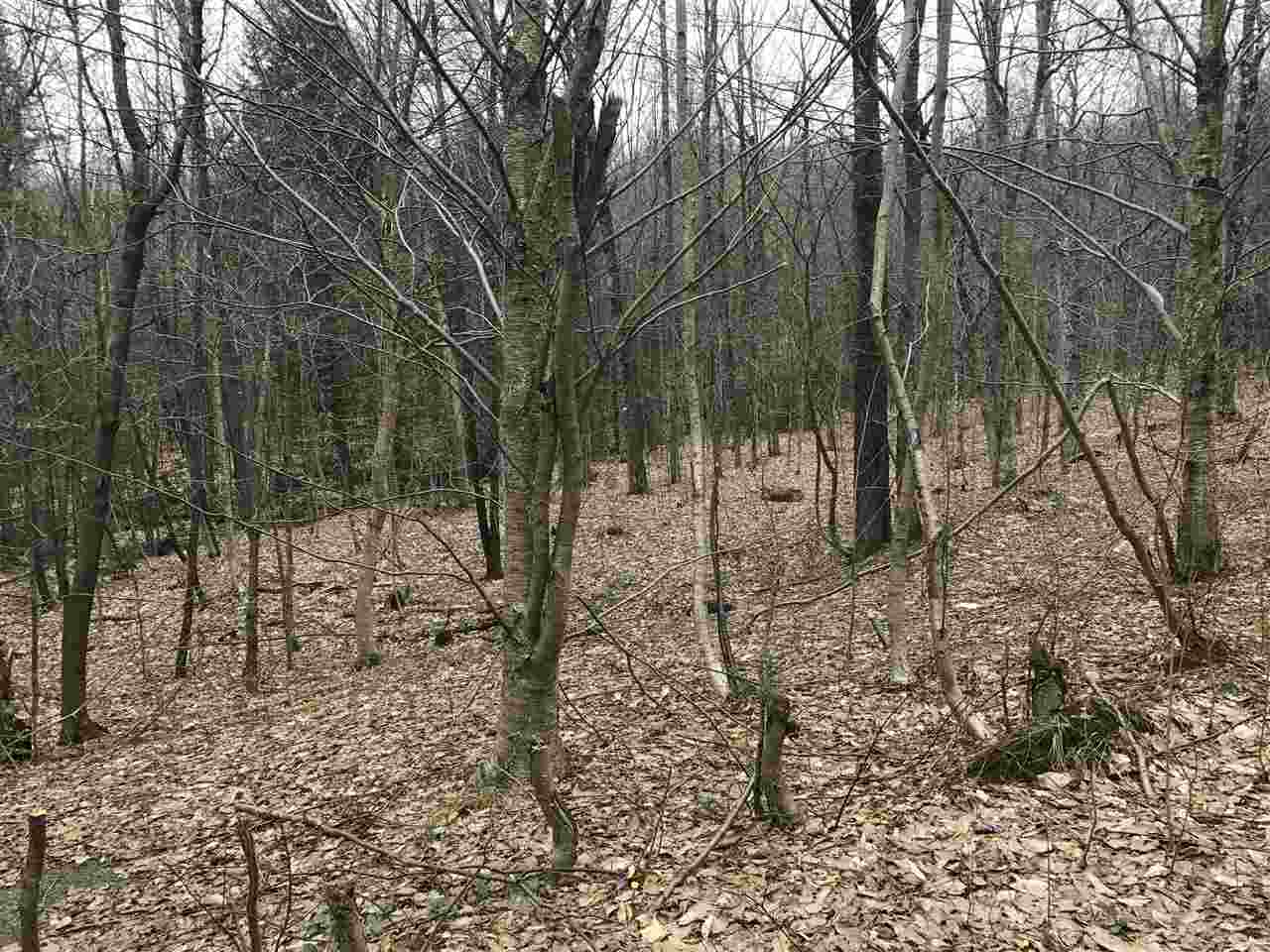 - Ball Ground Road Westfield, VT 05874 - Photo 3 of 13
