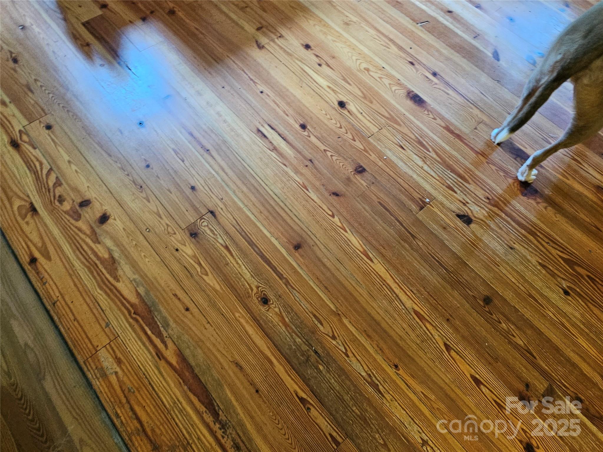 368 Settlemyre Road Morganton, NC 28655 - Photo 40 of 47 a view of outdoor space with wooden floor