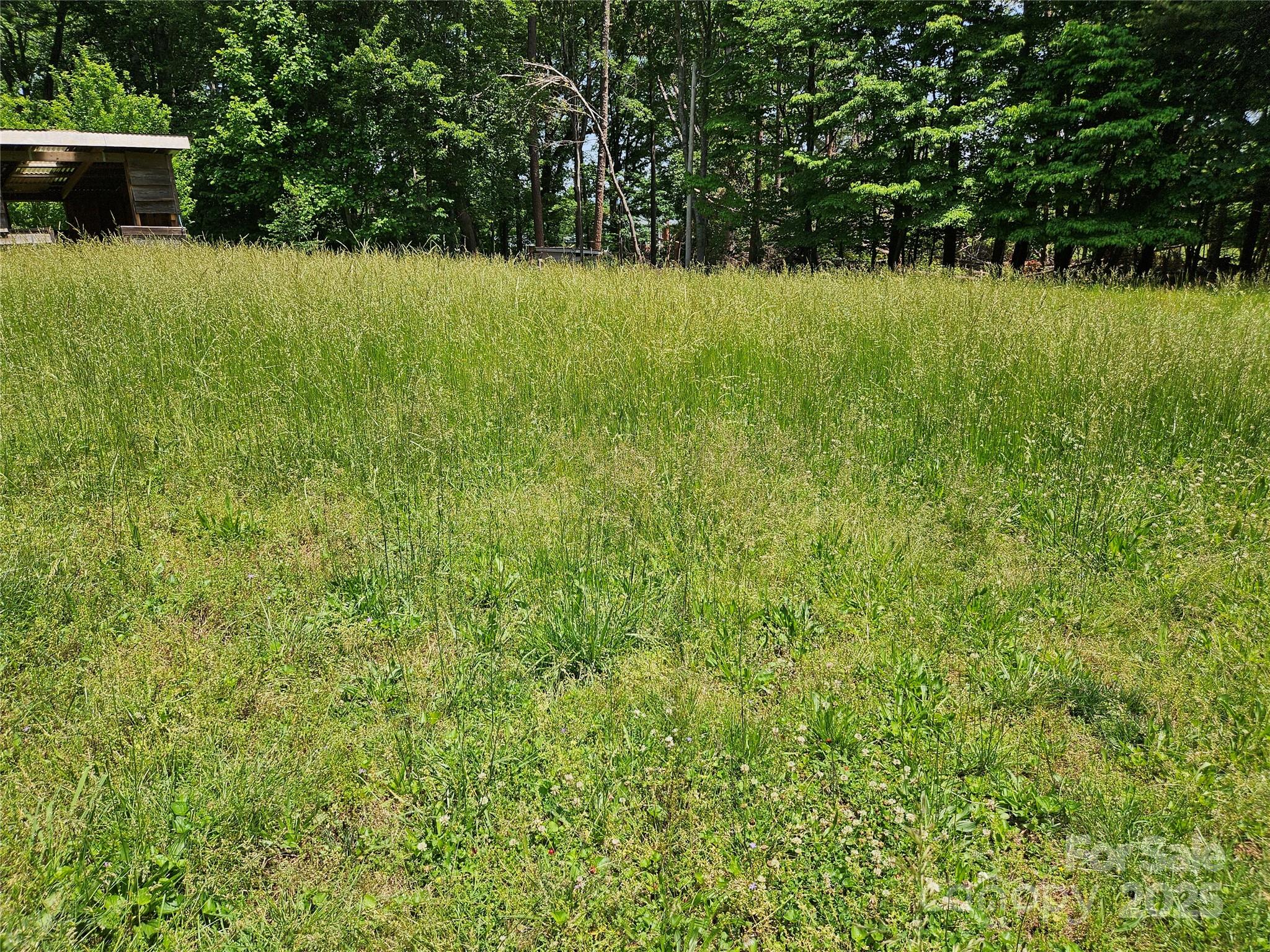368 Settlemyre Road Morganton, NC 28655 - Photo 7 of 47 a view of a garden with a lake