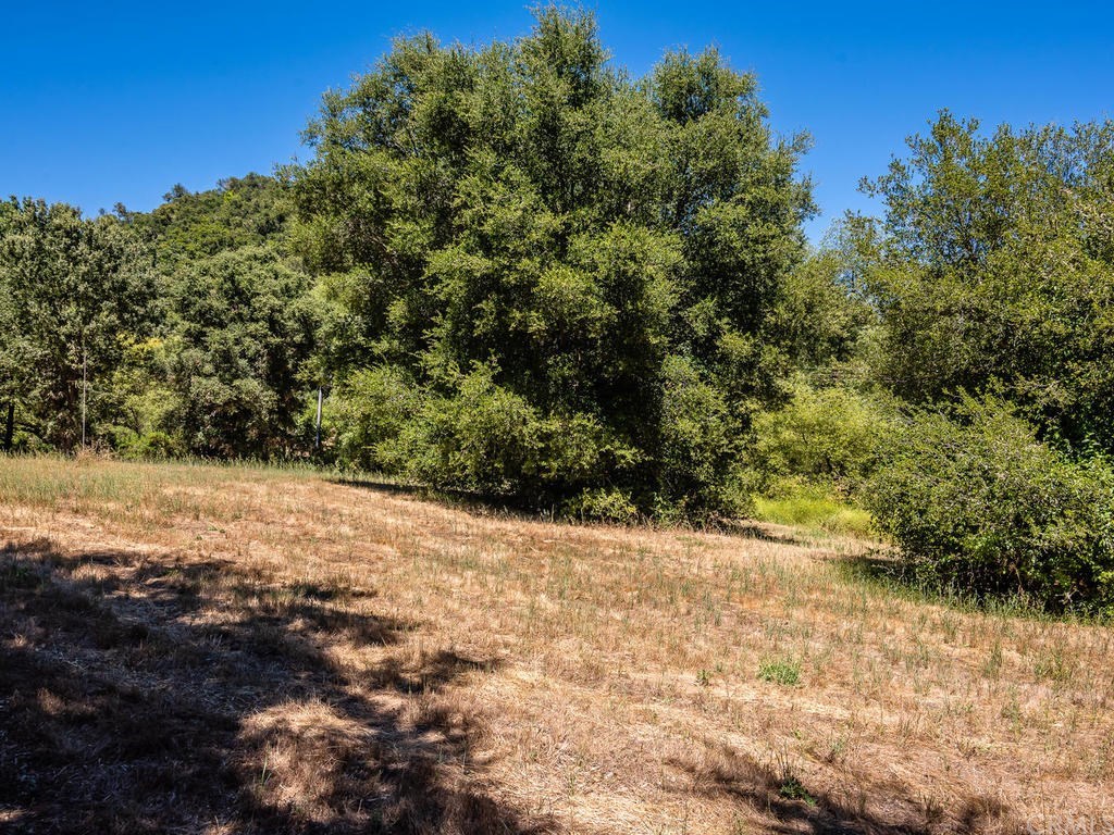 0 Dover Canyon Road Templeton, CA 93465 - Photo 8 of 20 Gallery Image 8