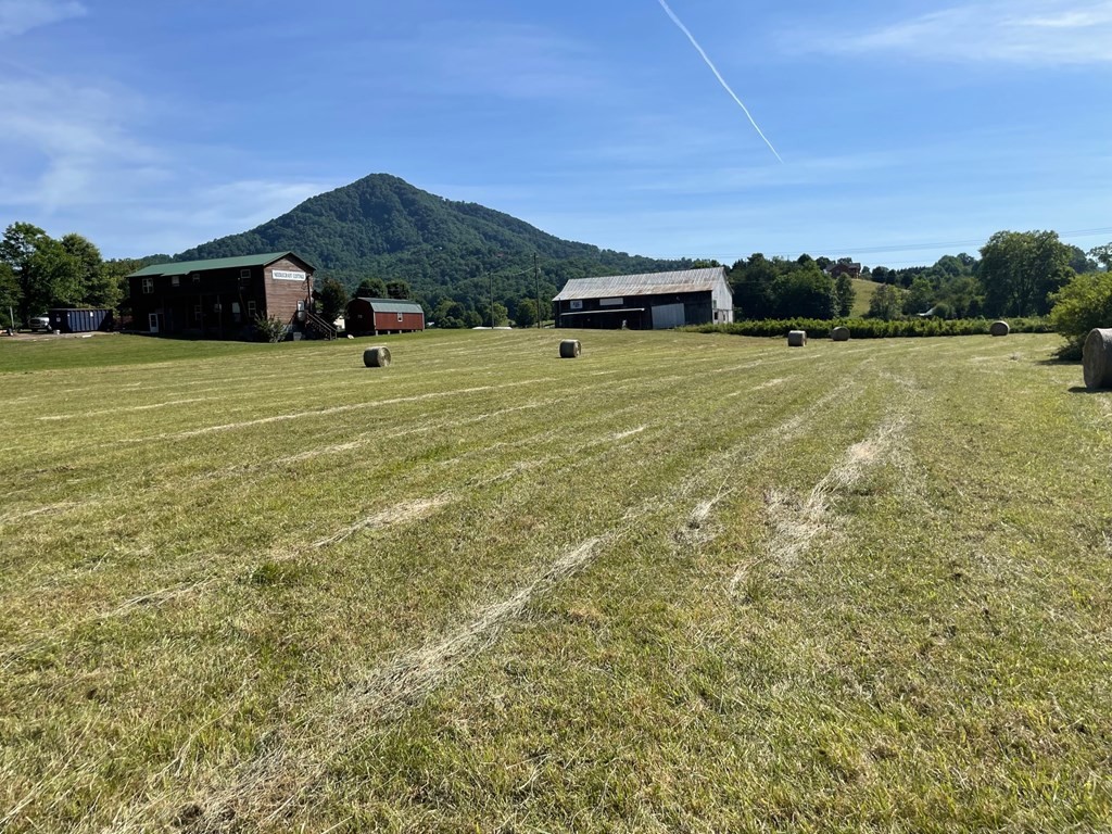 10 11 Line Springs Road Sevierville, TN 37862 - Photo 5 of 16
