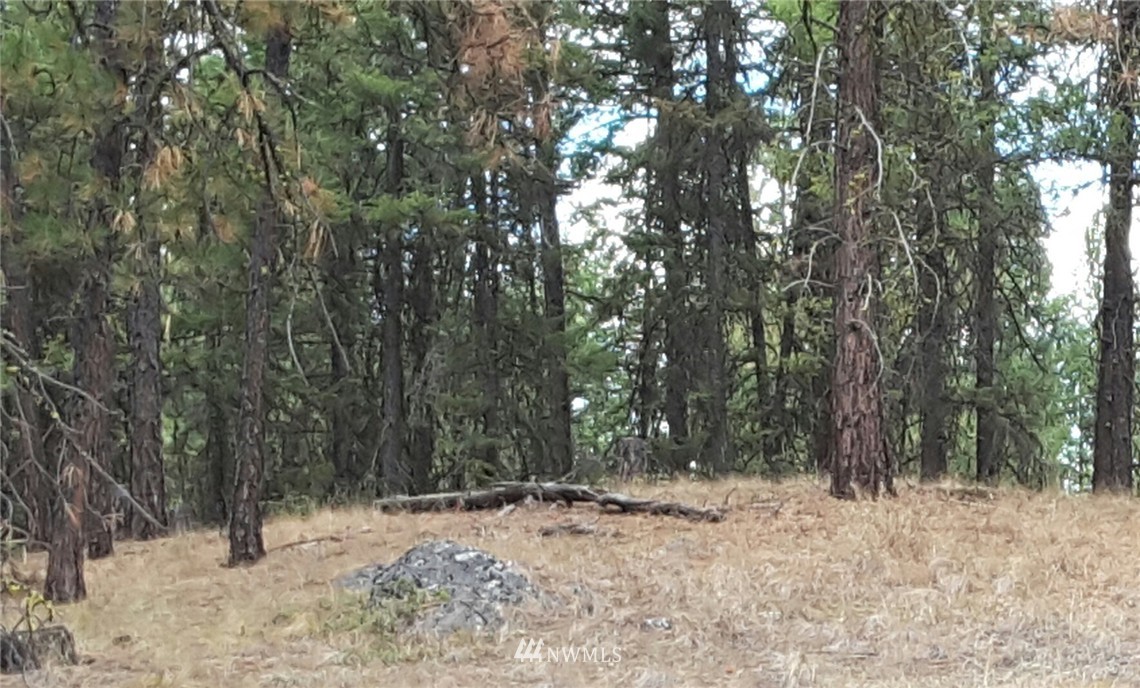 9 Ruby Two Moons Tonasket, WA 98855 - Photo 1 of 6 Gallery Image 1