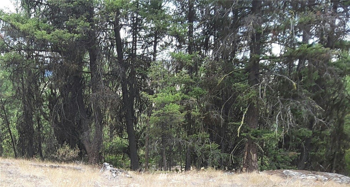 9 Ruby Two Moons Tonasket, WA 98855 - Photo 5 of 6 Gallery Image 5