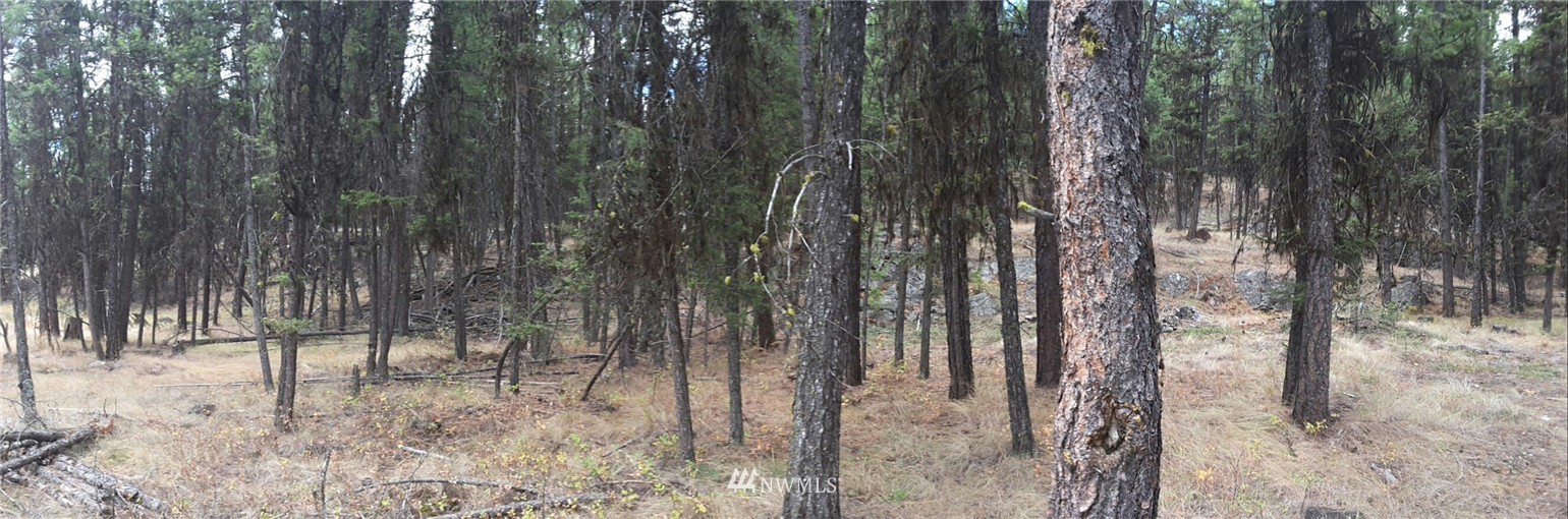 9 Ruby Two Moons Tonasket, WA 98855 - Photo 6 of 6 Gallery Image 6