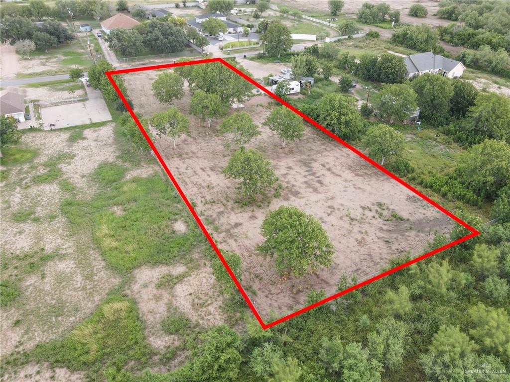 1713 Cheril Road Mission, TX 78573 - Photo 4 of 6 a view of a backyard with plants