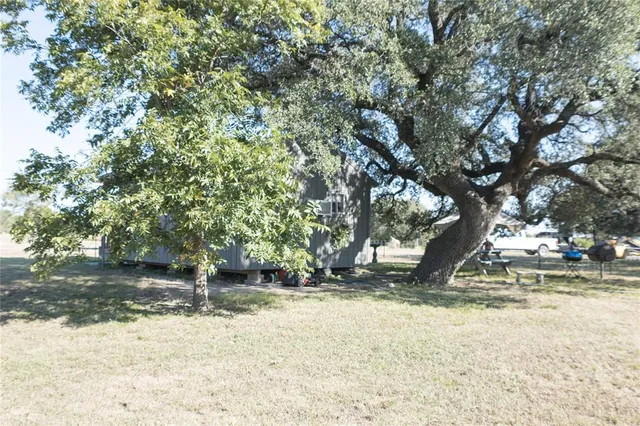 a view of a yard with a tree