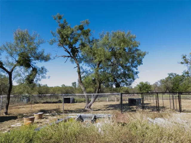 a view of three trees