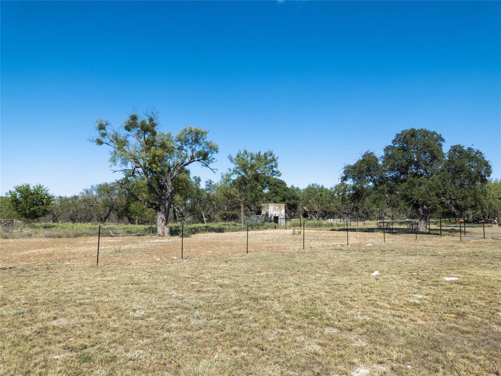 1597 County Road 305 Zephyr, TX 76890 - Photo 21 of 40 a view of three trees