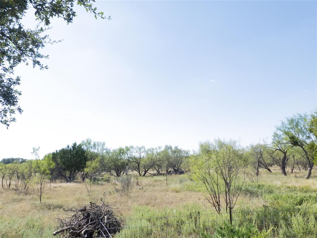 1597 County Road 305 Zephyr, TX 76890 - Photo 22 of 40 a view of a lush green field