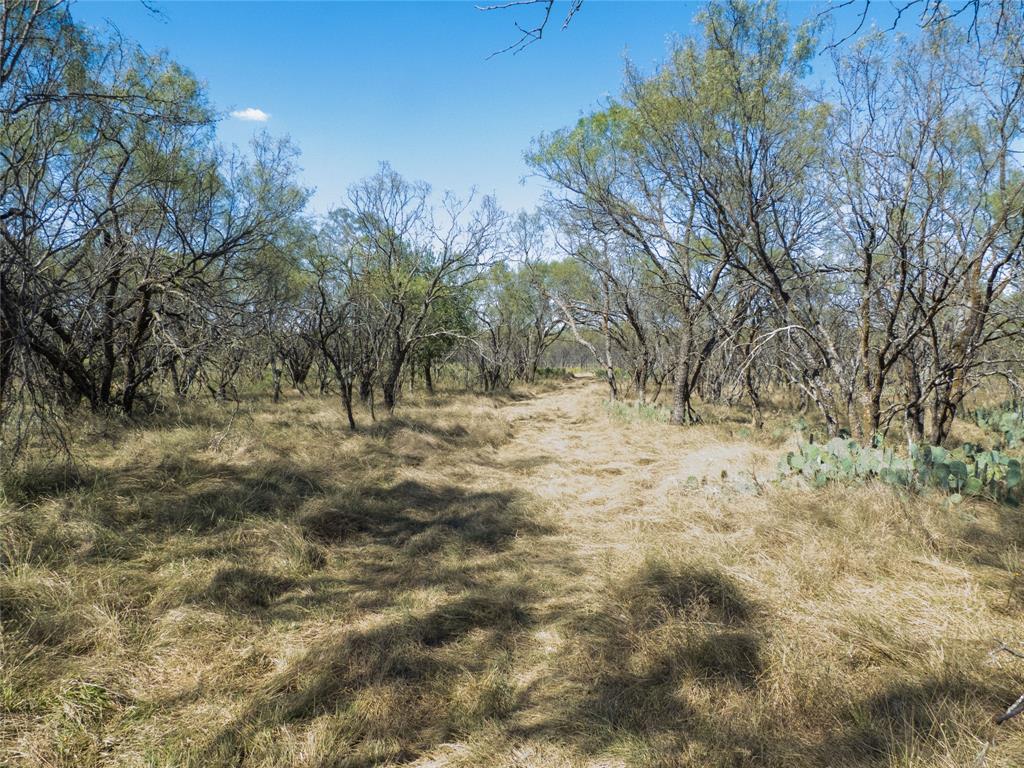 1597 County Road 305 Zephyr, TX 76890 - Photo 23 of 40 a view of empty space and a yard