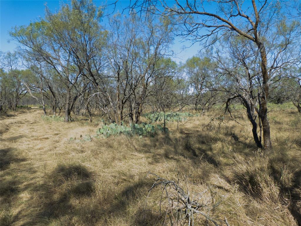 1597 County Road 305 Zephyr, TX 76890 - Photo 24 of 40 a view of a yard