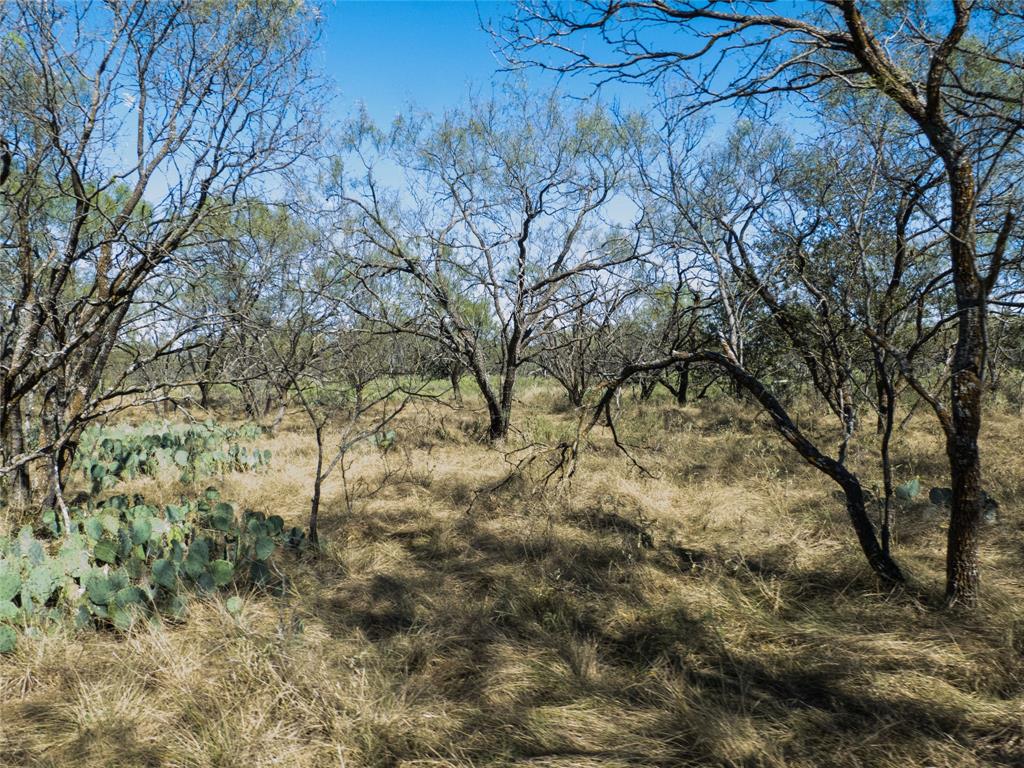 1597 County Road 305 Zephyr, TX 76890 - Photo 25 of 40 a view of a yard